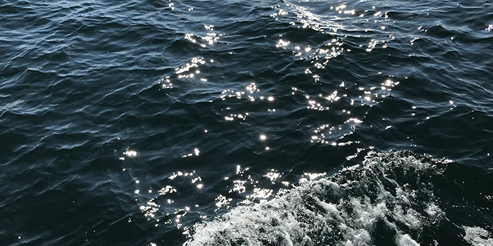 Havet. Foto: Helle Falborg
